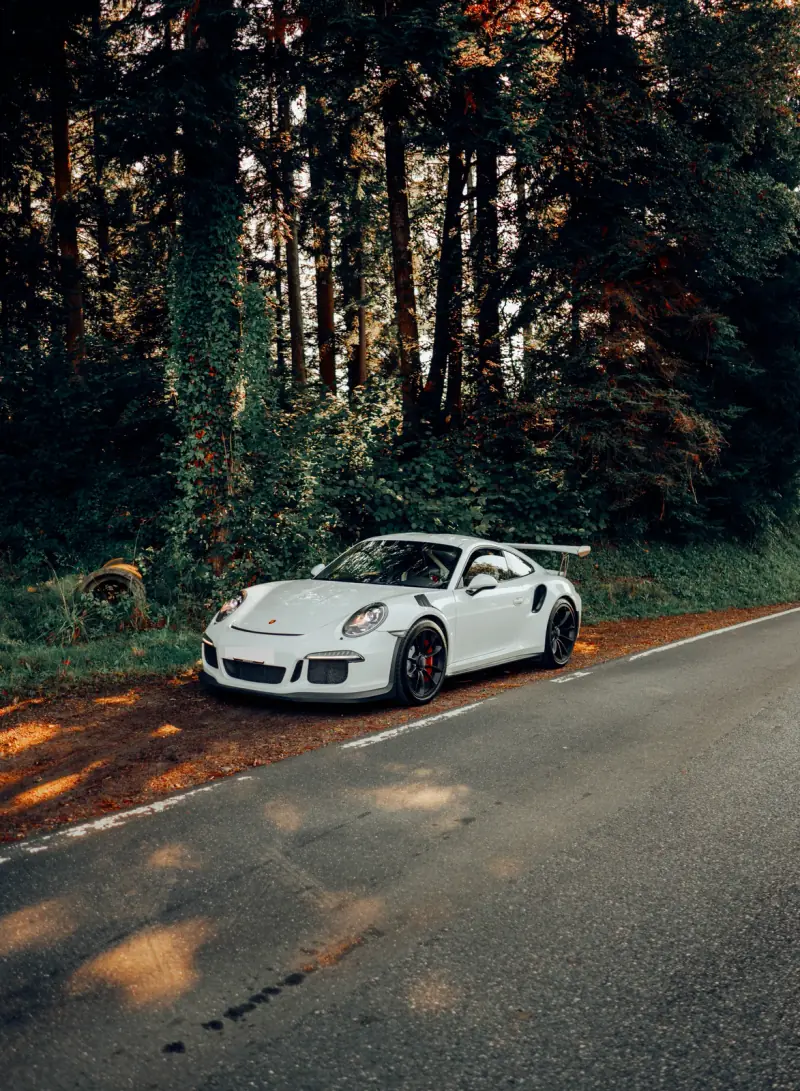 Porsche 911 GT3 RS (991)